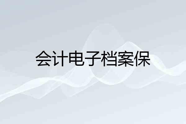 会计电子档案保