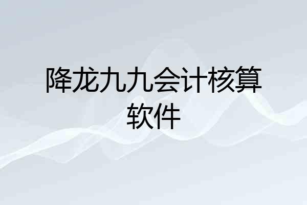降龙九九会计核算软件