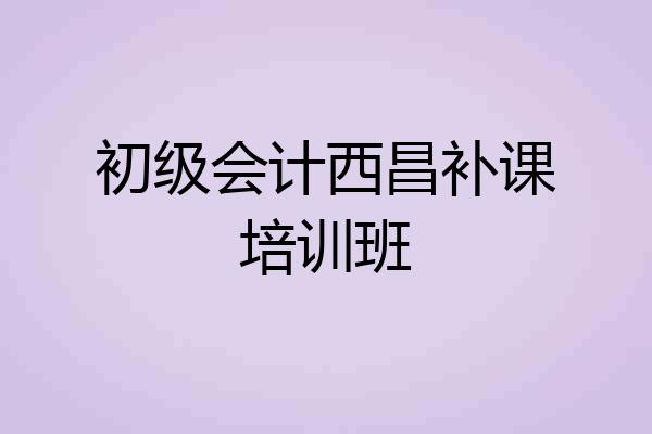 初级会计西昌补课培训班