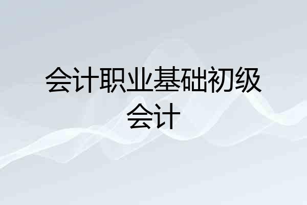 会计职业基础初级会计