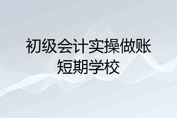 初级会计实操做账短期学校