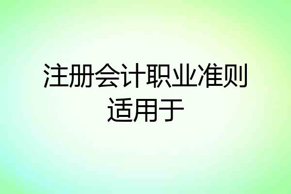 注册会计职业准则适用于
