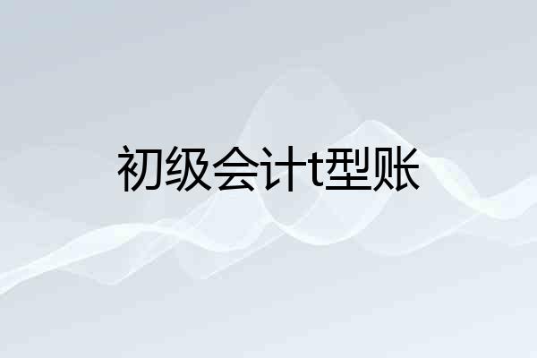 初级会计t型账