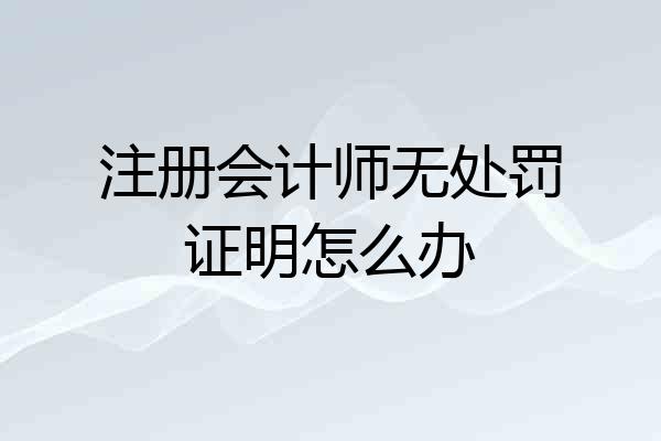 注册会计师无处罚证明怎么办
