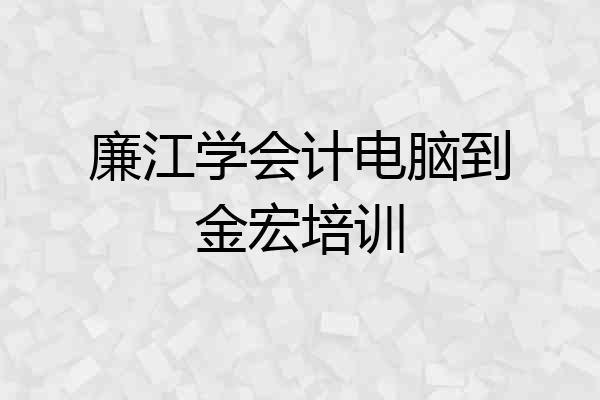 廉江学会计电脑到金宏培训
