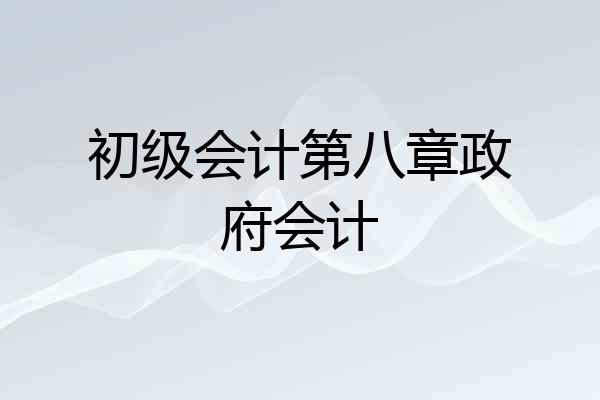 初级会计第八章政府会计