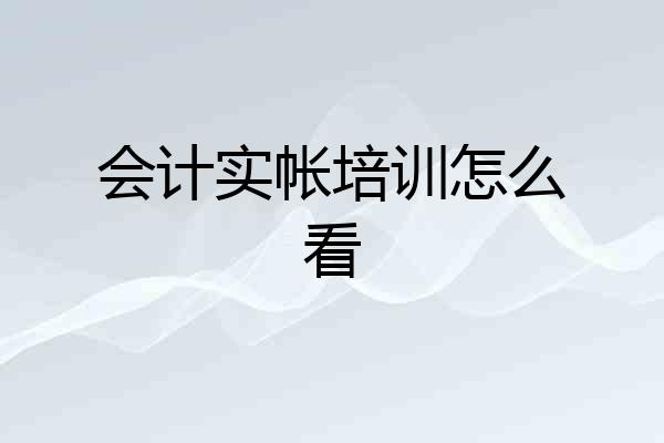 会计实帐培训怎么看