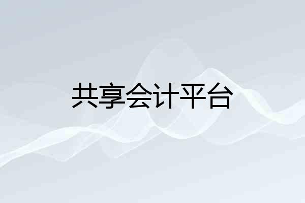 共享会计平台