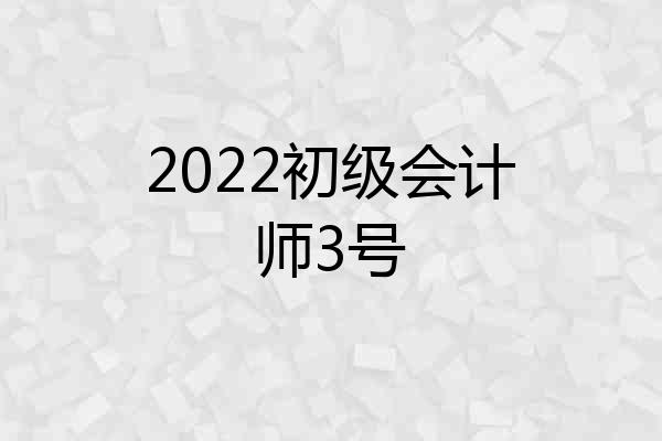 2022初级会计师3号