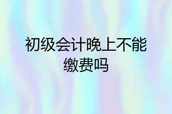 初级会计晚上不能缴费吗