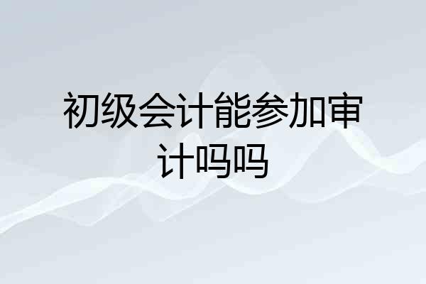 初级会计能参加审计吗吗
