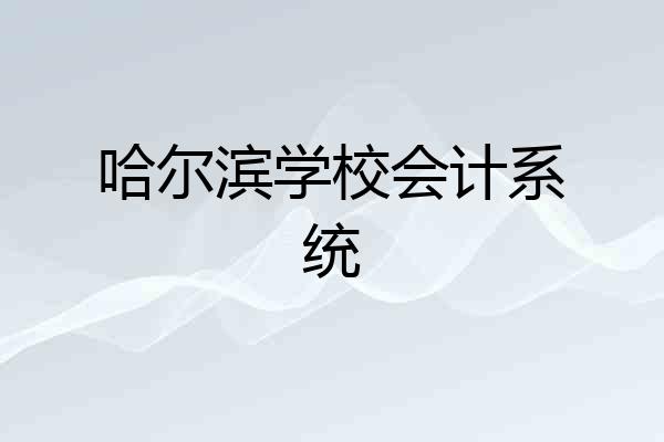 哈尔滨学校会计系统