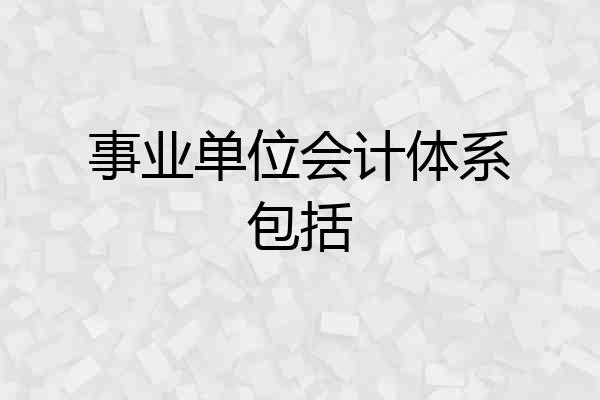 事业单位会计体系包括