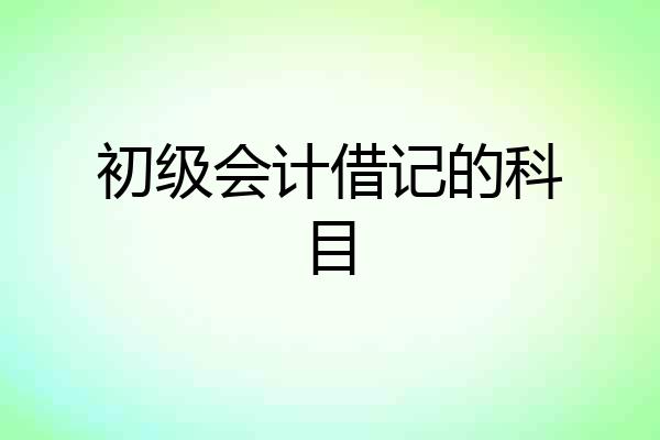初级会计借记的科目