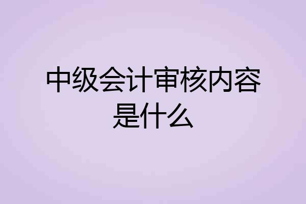 中级会计审核内容是什么