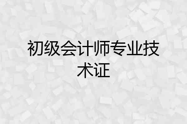 初级会计师专业技术证