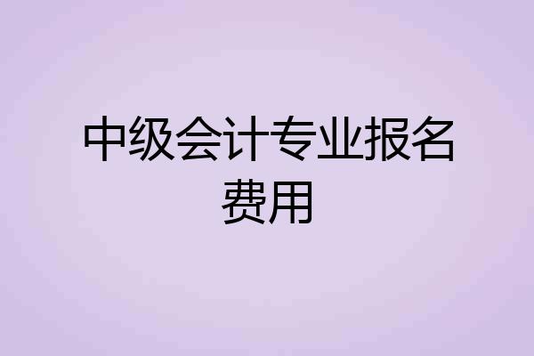 中级会计专业报名费用