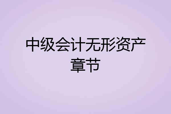 中级会计无形资产章节