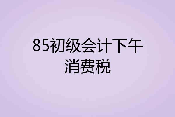 85初级会计下午消费税