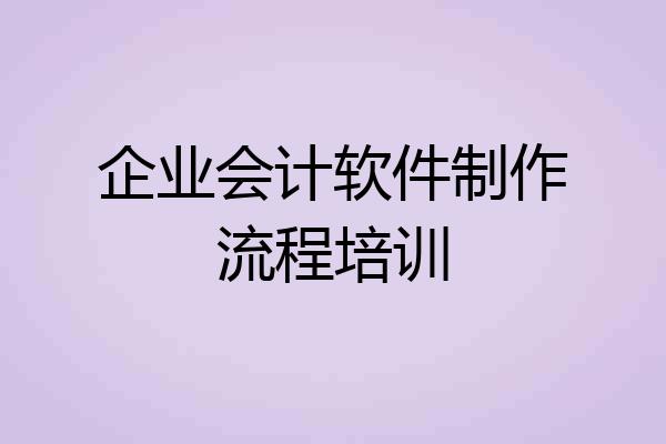 企业会计软件制作流程培训