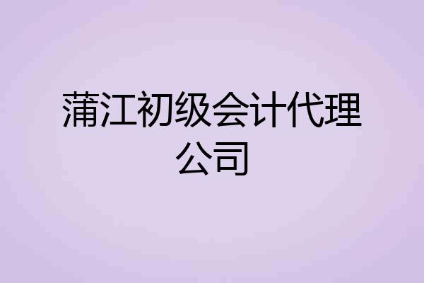 蒲江初级会计代理公司