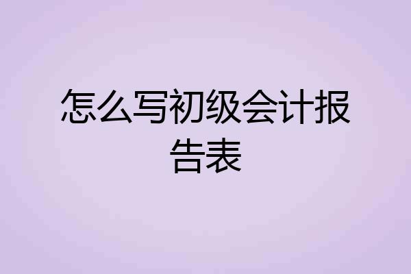 怎么写初级会计报告表