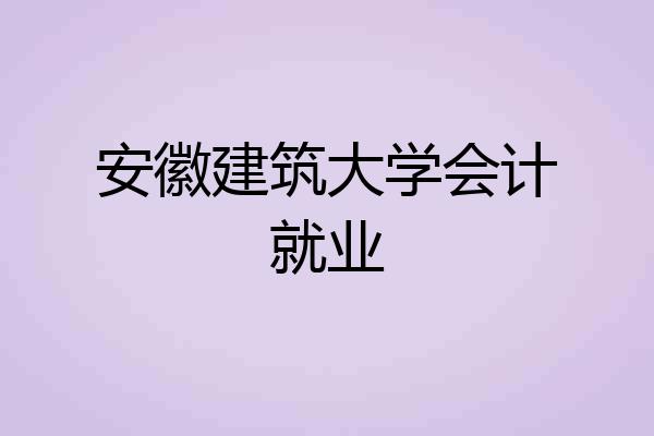 安徽建筑大学会计就业