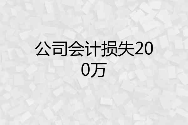 公司会计损失200万