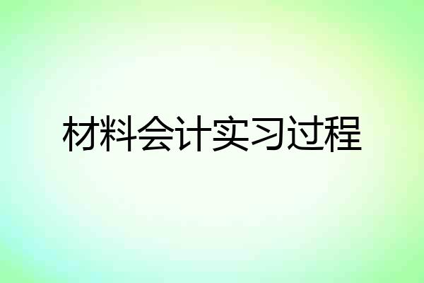 材料会计实习过程