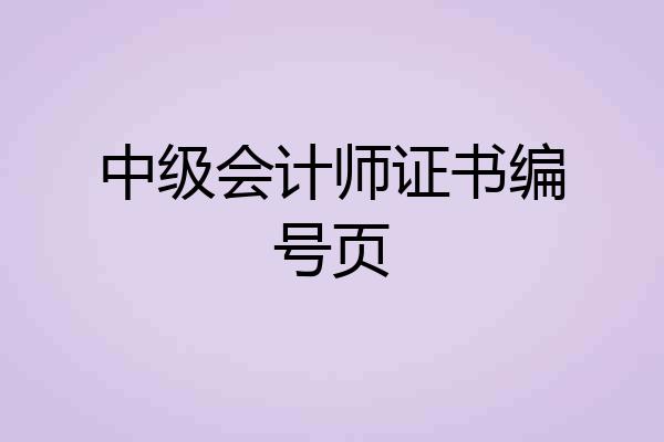 中级会计师证书编号页