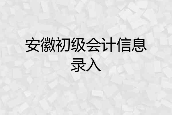 安徽初级会计信息录入