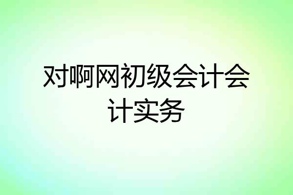 对啊网初级会计会计实务