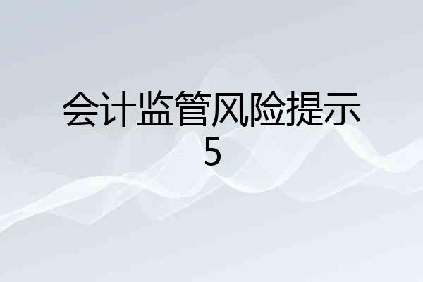 会计监管风险提示5