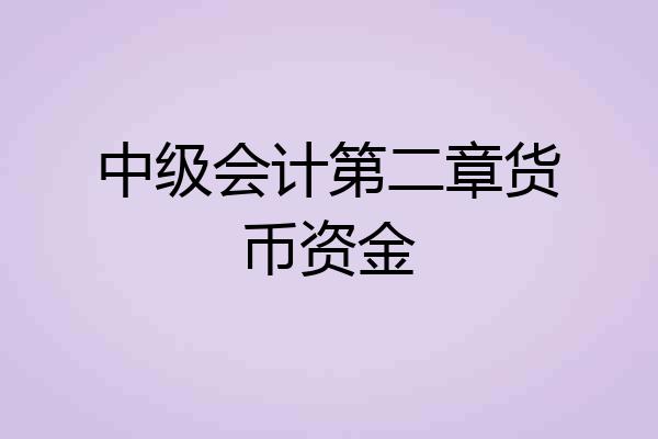 中级会计第二章货币资金
