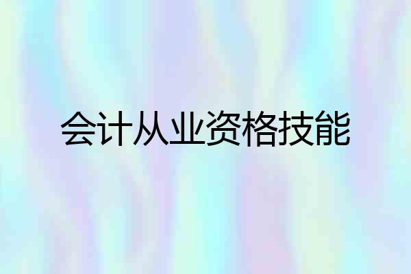 会计从业资格技能
