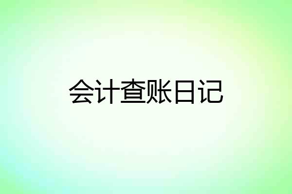 会计查账日记