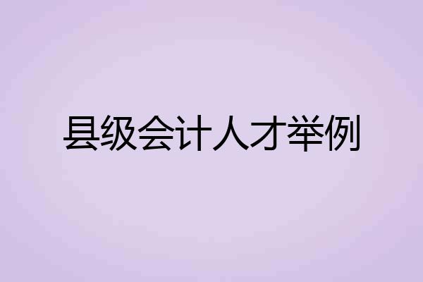 县级会计人才举例