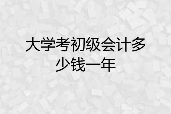 大学考初级会计多少钱一年
