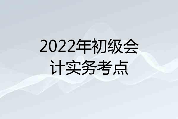 2022年初级会计实务考点