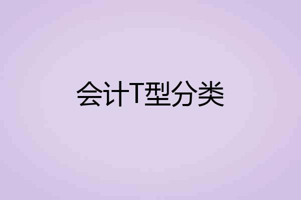 会计T型分类