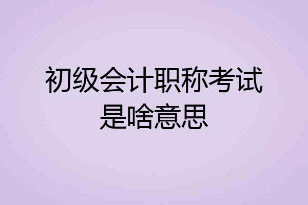 初级会计职称考试是啥意思