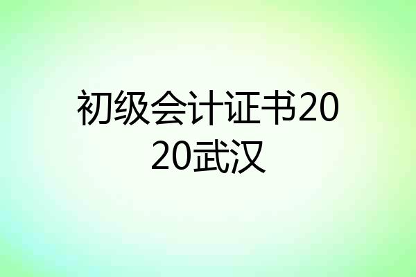 初级会计证书2020武汉