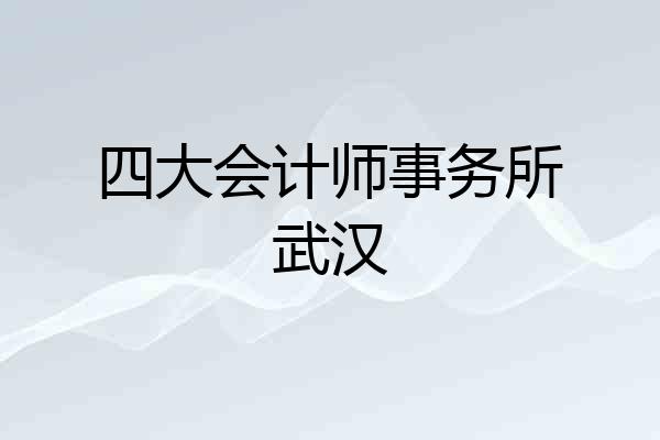 四大会计师事务所武汉