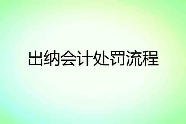 出纳会计处罚流程