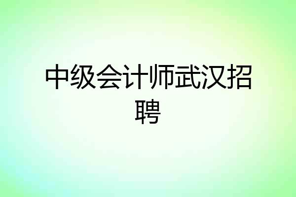 中级会计师武汉招聘
