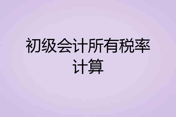 初级会计所有税率计算