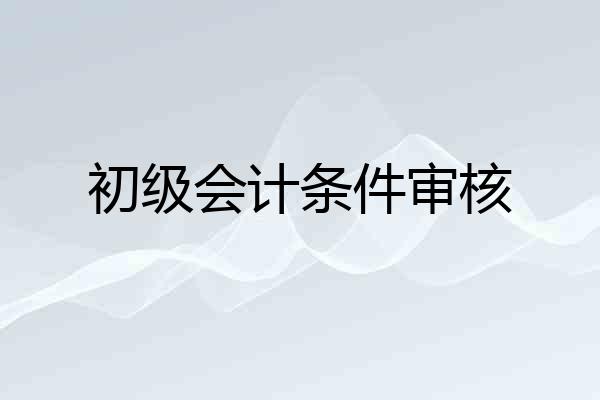 初级会计条件审核