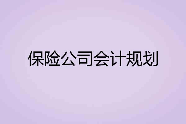 保险公司会计规划