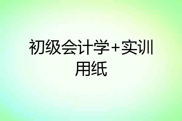 初级会计学+实训用纸