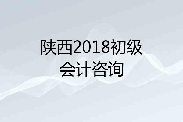 陕西2018初级会计咨询